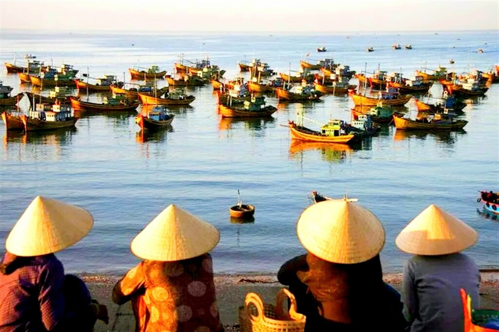 Hotspot Matrix và thay đổi của Li Wei trong thai kỳ