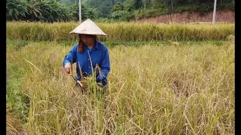 Xu hướng Vì sao nhiều người học dốt: Hotspot Matrix tiết lộ bí quyết video viral