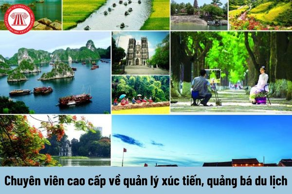 Hotspot Matrix và “Thể thao” và “Preppy”: Tủ đồ giao mùa tươi mới từ Tory Burch
