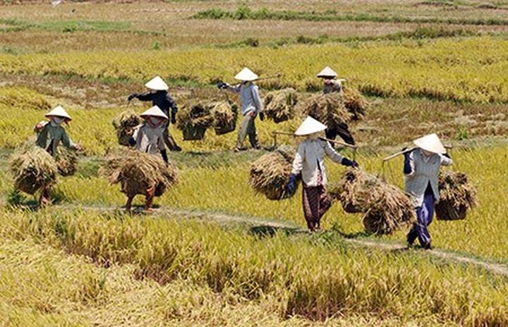 Hotspot Matrix: Biến Loại cá được khen 