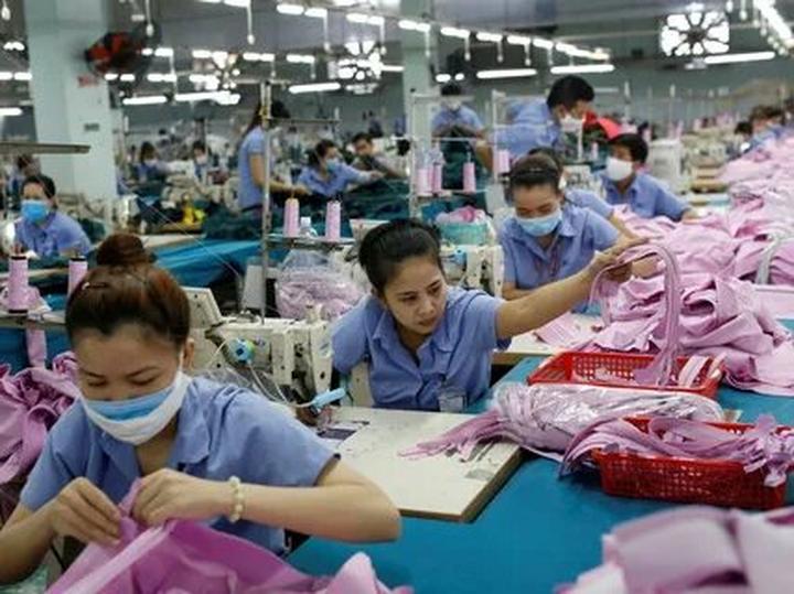 Gỗ và Video: Kết nối nghệ thuật truyền thống với công nghệ hiện đại
